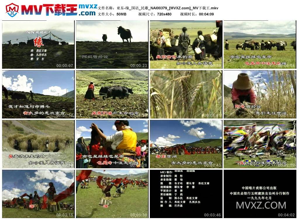 亚东-缘_国语_民歌_NAI00379